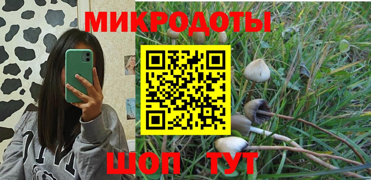 где найти   Галлюциногенные грибы мицелий  Вход с VPN  Борзя 